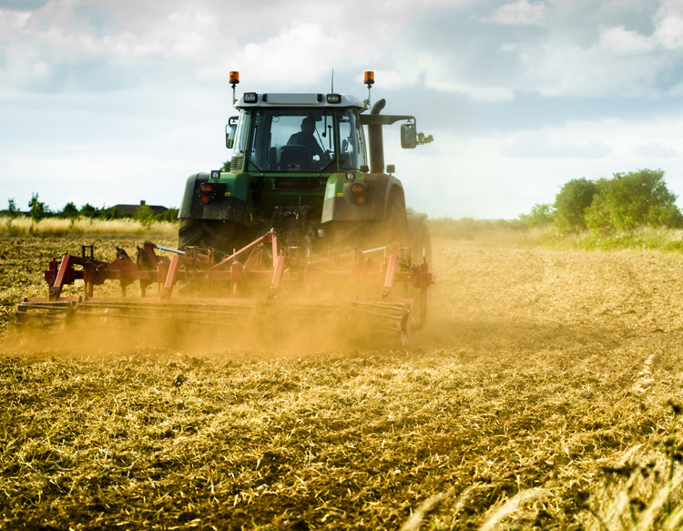 Grant Application at Eastman Farm Consulting